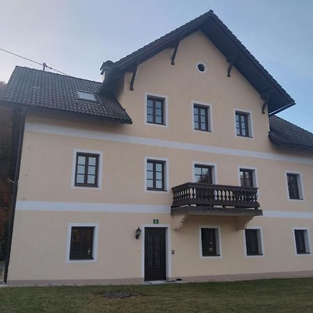 Ferienwohnungen Viktoria Buchegger Gruenau im Almtal Bagian luar foto