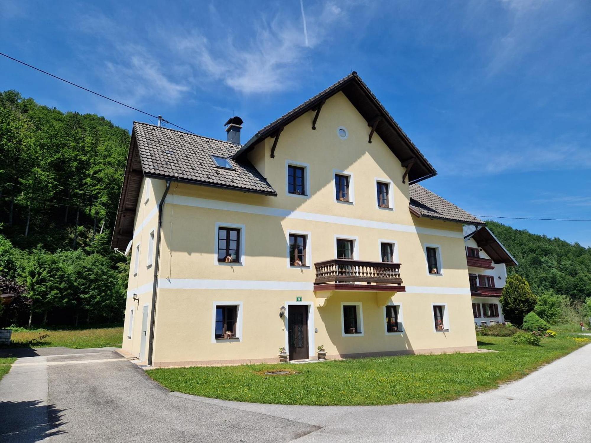 Ferienwohnungen Viktoria Buchegger Gruenau im Almtal Bagian luar foto
